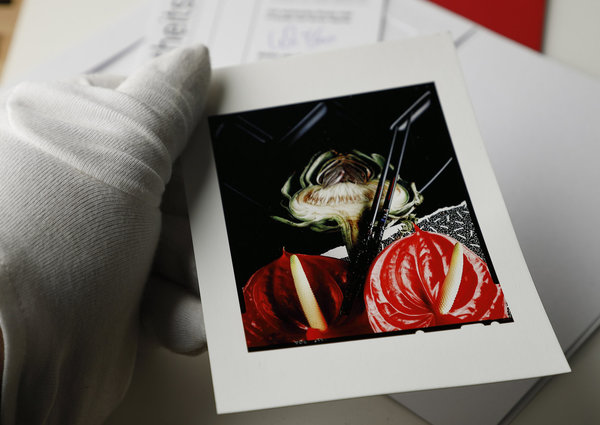 ArtCard - Flamingo (Anthurium andraeanum)  met Artischocke - Film