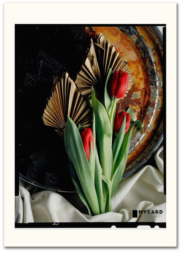 ArtCard -Tulpen mit Dominosteine - Film