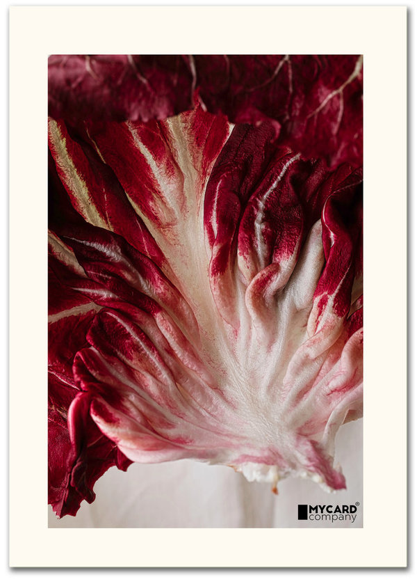 ArtCard - Radicchio Rosso di Chioggia #2