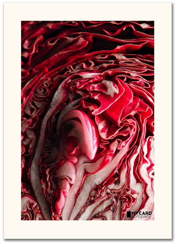 Artcard  Radicchio Rosso di Chioggia #4 inside
